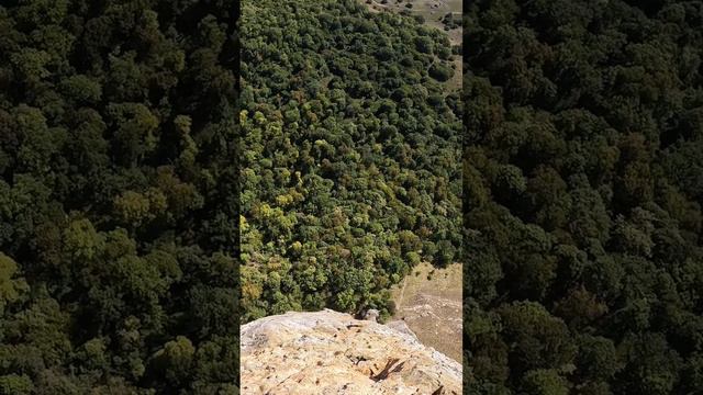 Бабушка крутанула несколько оборотов сальто на роупджампинге в Абхазии.