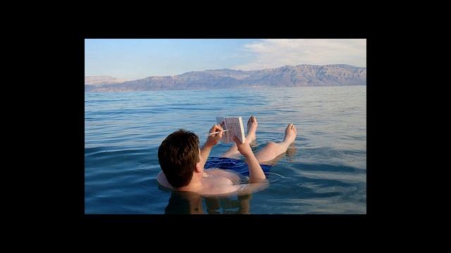 Кроссвордное образование или чему учат кроссворды? смотреть онлайн