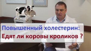 Холестерин: нужна ли диета и таблетки от холестерина. Мифы о холестерине - Едят ли коровы кроликов?