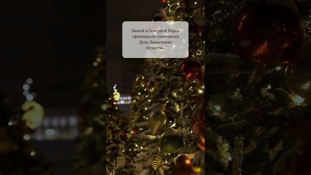 Зимой в Северной Корее официально отмечается День Защитника Отчества.
