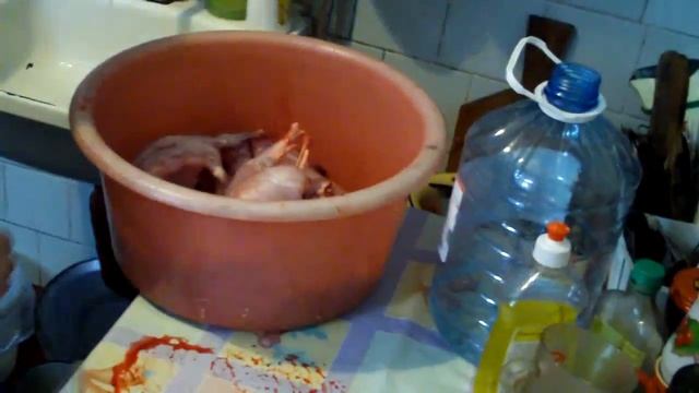 Что внутри кролика смотреть онлайн