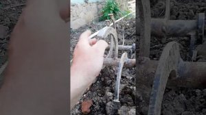 купил новые фрезы целина, 7 зубов, анонс