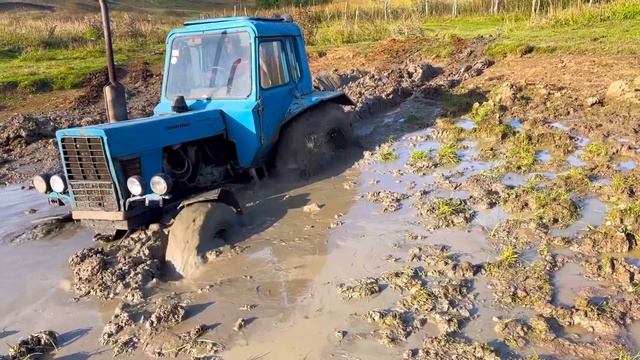 Трактор Беларусь МТЗ 82 Сможет ли проехать Этого Болото? смотреть онлайн
