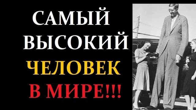 САМЫЙ ВЫСОКИЙ ЧЕЛОВЕК В МИРЕ!!!