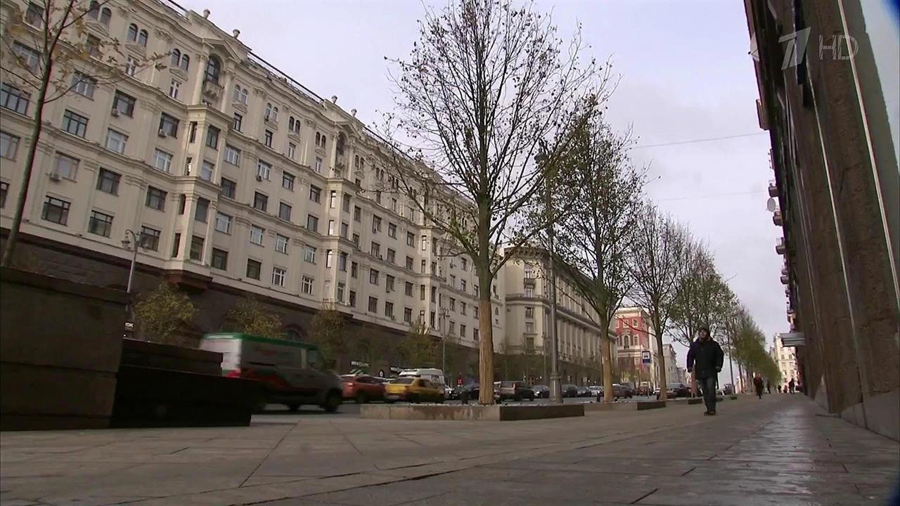 Настоящая липовая аллея вновь появится в центре Москвы