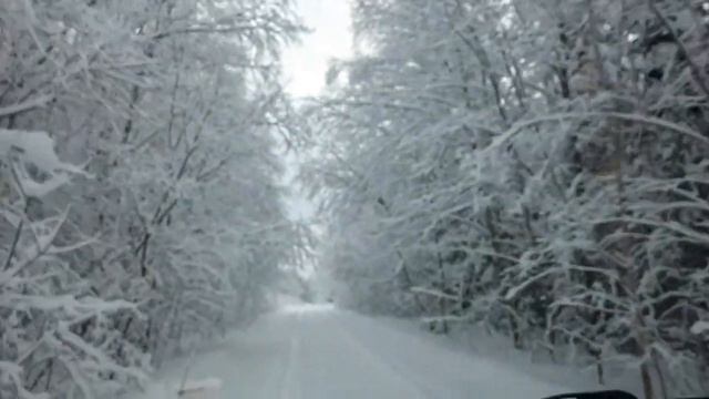Зимняя сказка ❄ смотреть онлайн