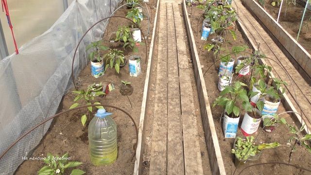 Выбор теплицы, плюсы и минусы. смотреть онлайн