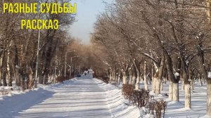 Разные судьбы - интересные истории. | Однажды Наташа позвонила в слезах
