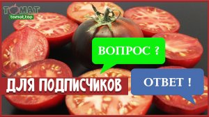 Ответы на вопросы для подписчиков канала и сайта о томатах Tomat.top