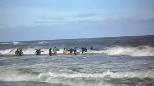 как добывают янтарь