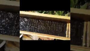 Как изготовить шлюз для промывки золота ?
