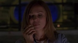 Бешенные акулы