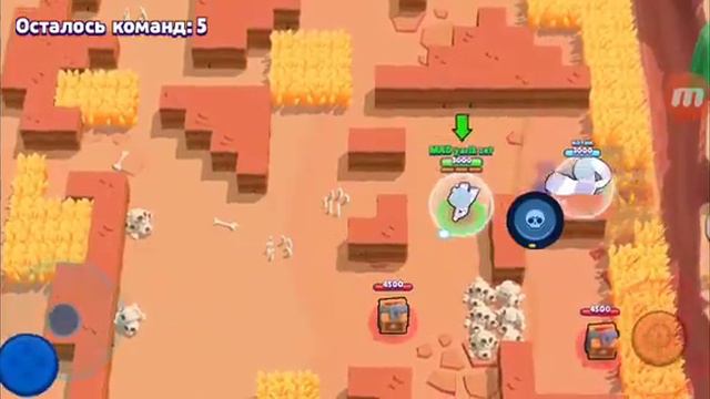 САМЫЙ КРУТОЙ БРАВЛЕР ЗА ВЕСЬ БРАВЛ СТАРС смотреть онлайн