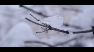 #КИНОСТИХИ "Снег хлопьями..." Валентин Садики