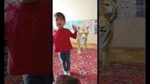 Интересные факты для детей про тигров