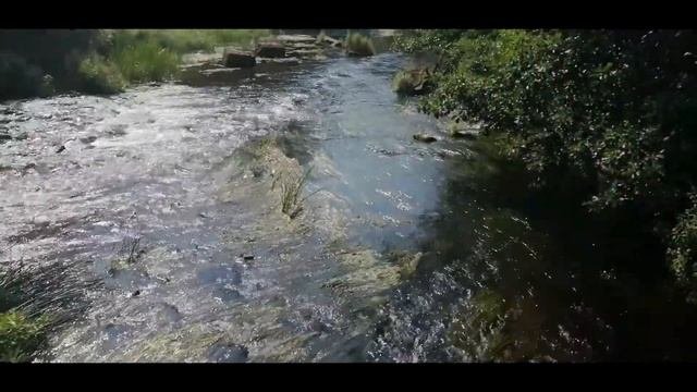 Наша природа.  Калининградская область.  Озёрский район.