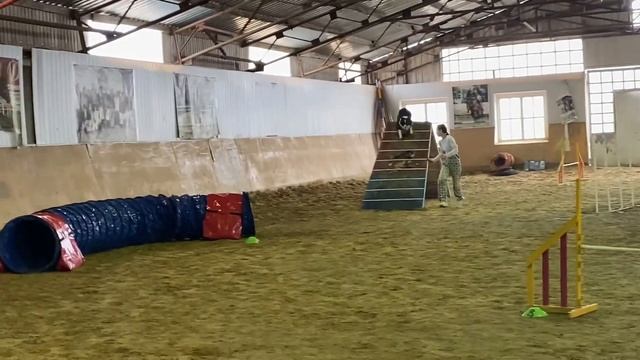 Февраль. Коннор впервые на беговой дорожке.Кубок краснодарского края по аджилити.Работа.ВыжлаВлог 5 смотреть онлайн