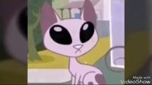 Мистер кэт :3 (читайте описание)