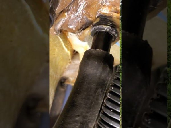 Kawasaki Ultra 310LX Water leak.