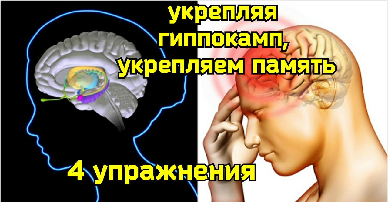 Компрессия средней мозговой артерии ухудшает память, вредит мозгу. 4 уникальных упражнения