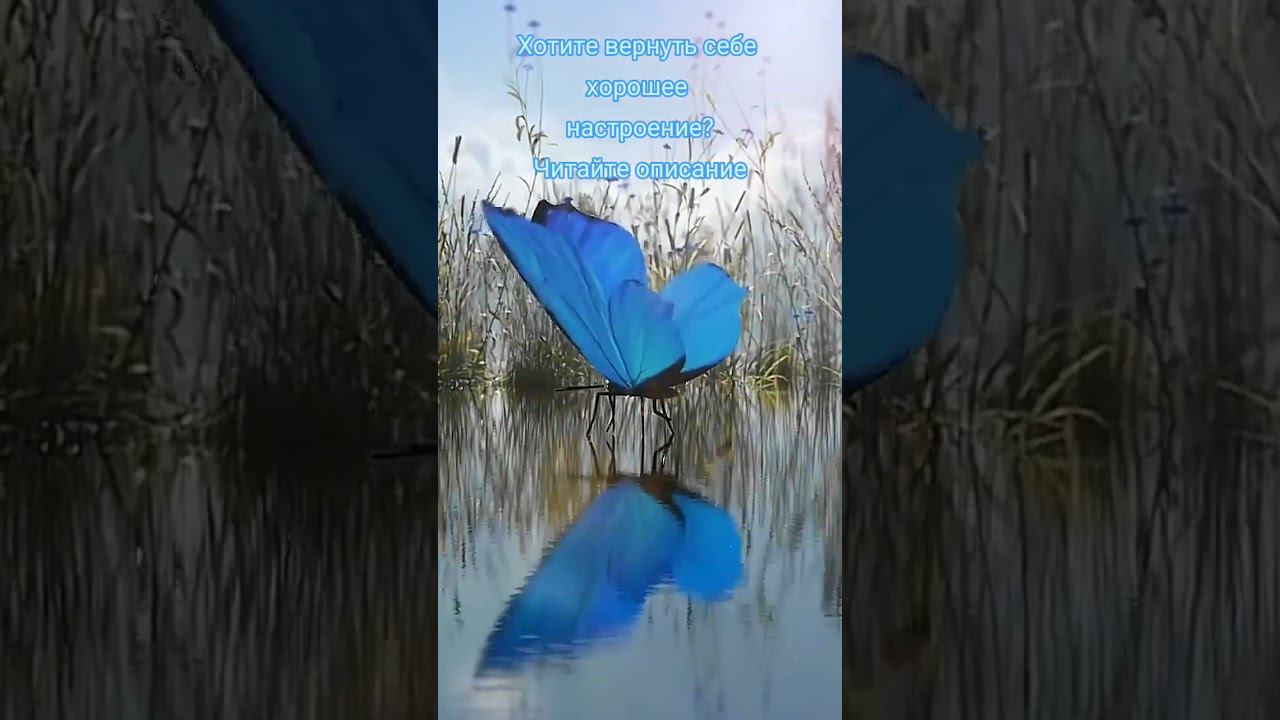 Как вернуть радость жизни? психология счастье