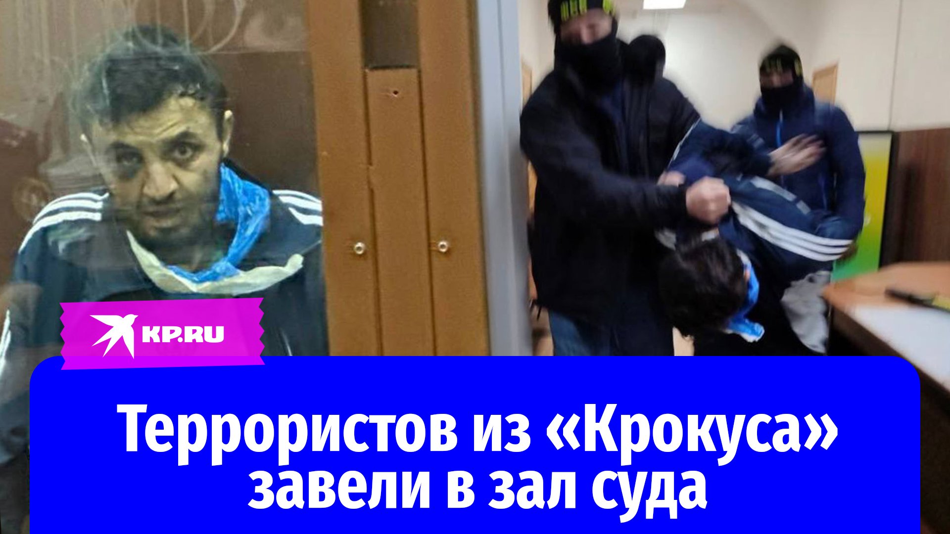 Как сейчас выглядят террористы крокуса Террористов из "Крокуса" завели в зал Басманного суда - смотреть видео онлайн от