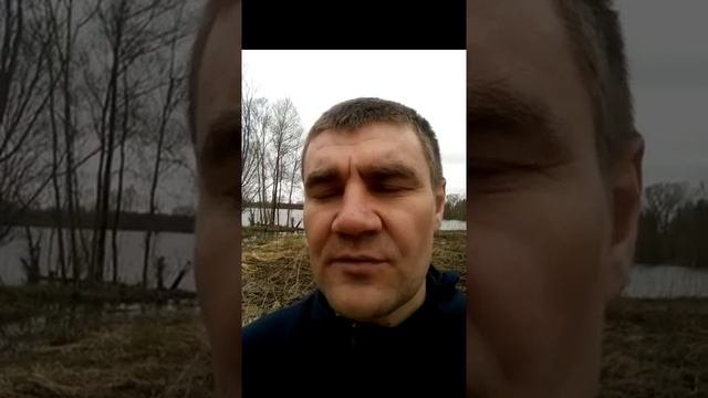 Как создать выгодный бизнес по деревообработке