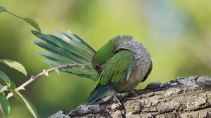 Всем доброго утра и хорошего дня!