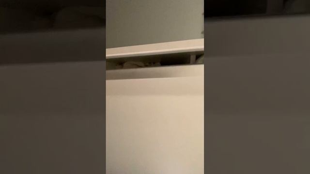 Видеопроверка