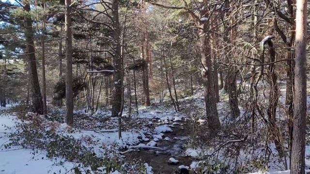 Зимняя сказка в 40 км. от Мадрида. Cuento invernal a cuarenta kilómetros de Madrid. смотреть онлайн