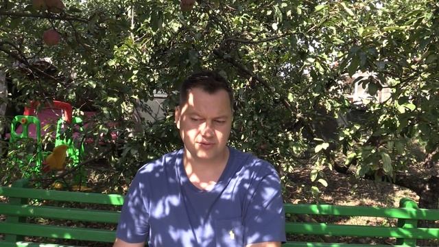 Наше развитие и скептики. Посвящается скептикам (часть 1) - Лабиринты Знаний
