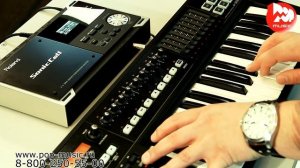 Звуковой модуль ROLAND SONICCELL