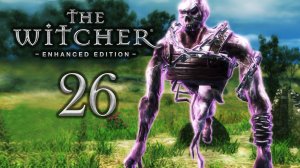 ЛЮБОВНЫЙ КВАДРАТ | Прохождение игры ► The Witcher 1 на ПК #26