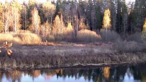 Скинуло кафтан зелёный лето