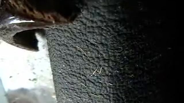 Ambush on the road to Baghdad International Airport смотреть онлайн