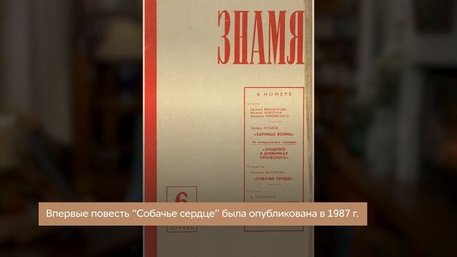 образование смотреть онлайн