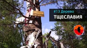 #13 Дерево тщеславия | Лоухи - Энгозеро 2017 | Приключения на байдарке