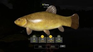 Русская рыбалка 4 - река Сура - Линь под берегом