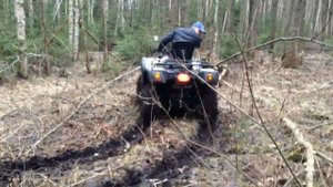 Грязь Весна Стелс 600 Леопард!!!