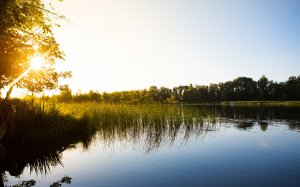 Ловля воблы в Астраханской обл.