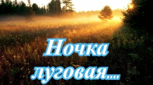 Ночка луговая - ВИА 'Яхонт'..mp4