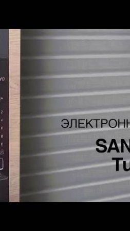 ОБЗОР ЭЛЕКТРОННОГО ЗАМКА SANYO D501 Tuya DM70 с WiFi