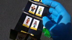 ROBLOX! Celebrity Series 4, First Look!