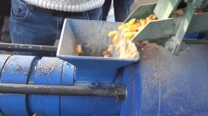 Как мы сделали кукурузные сухарики