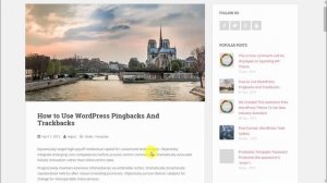 Sparkling WordPress theme Overview