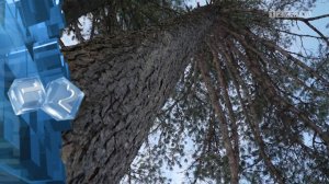 Синоптики Кемеровского гидрометцентра опубликовали прогнозы погоды на предстоящую неделю.mp4