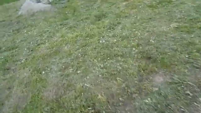 Ростверк из пакета досок на буронабивных сваях