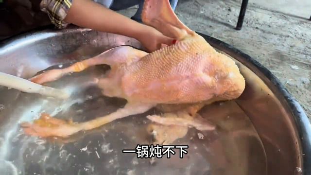 老谭要把仓库搬回河池，小九是非常支持他的想法，希望他有所收获 смотреть онлайн