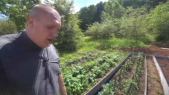 Собираем высокие грядки из плоского шифера своими руками на долгие годы смотреть онлайн