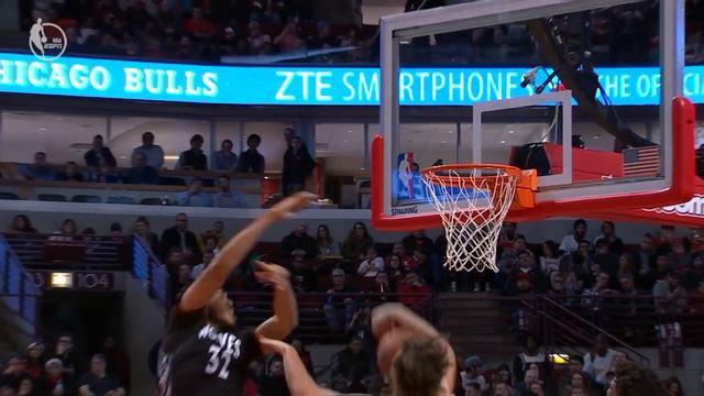 Taj Gibson Poster! Multiple Lobs! Wade Ejected! Timberwolves vs Bulls смотреть онлайн